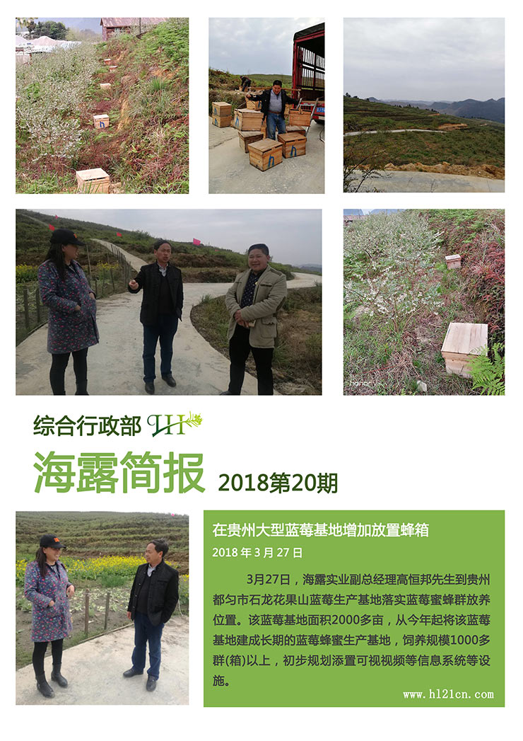 ���ι���|UB8���ι���|�������ý���