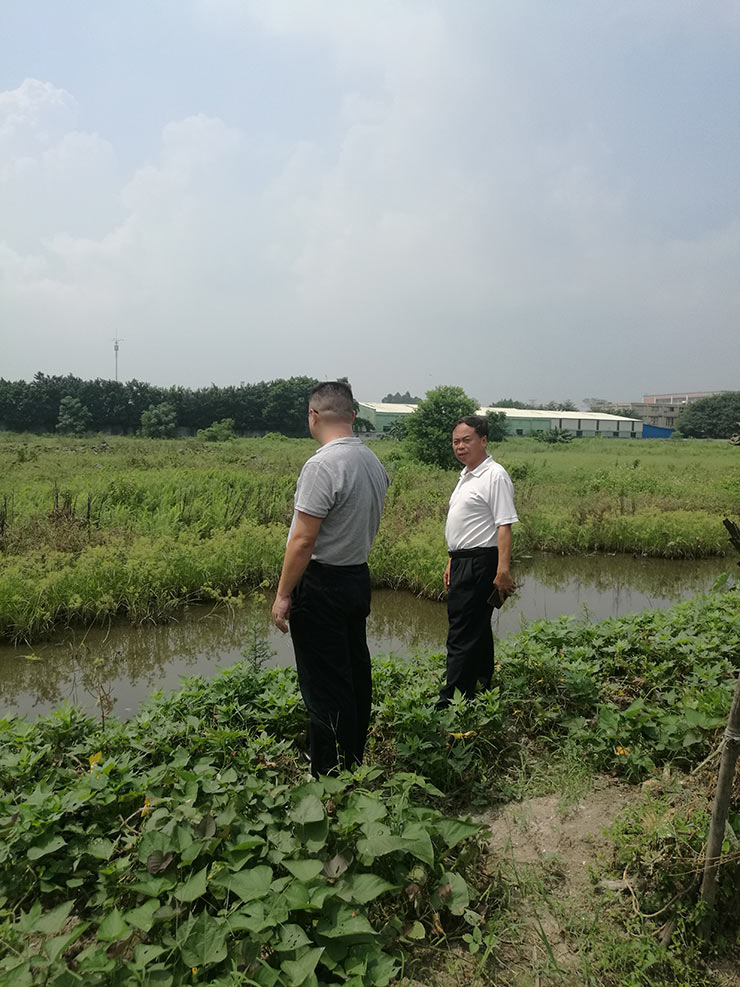 ���ι���|UB8���ι���|�������ý���