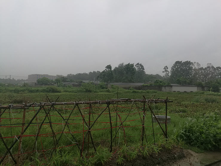 ���ι���|UB8���ι���|�������ý���