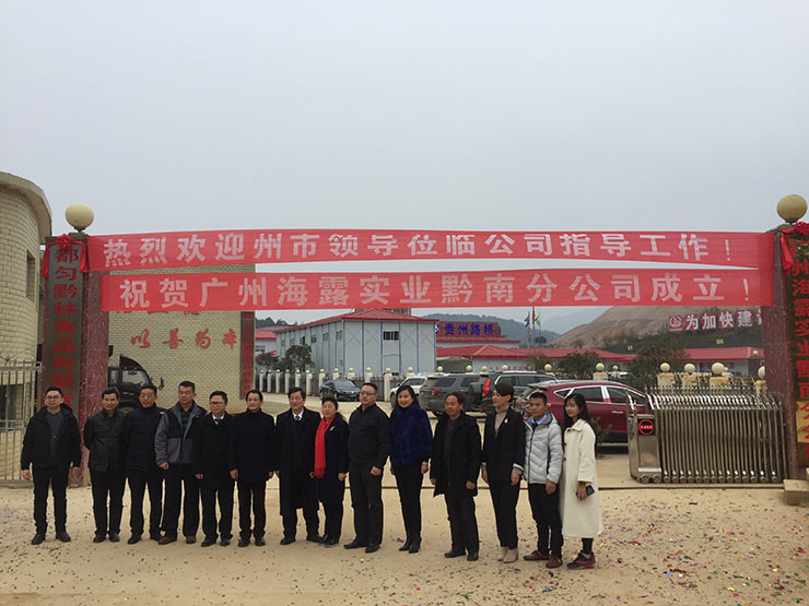 ���ι���|UB8���ι���|�������ý���