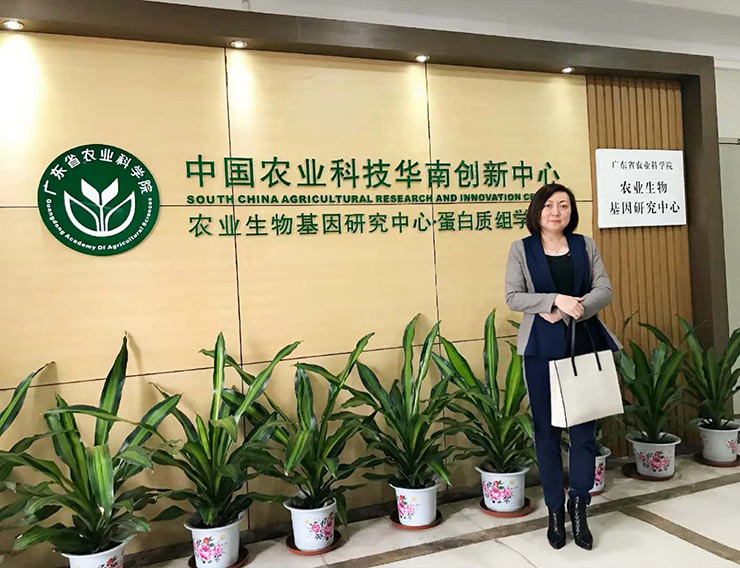 ���ι���|UB8���ι���|�������ý���