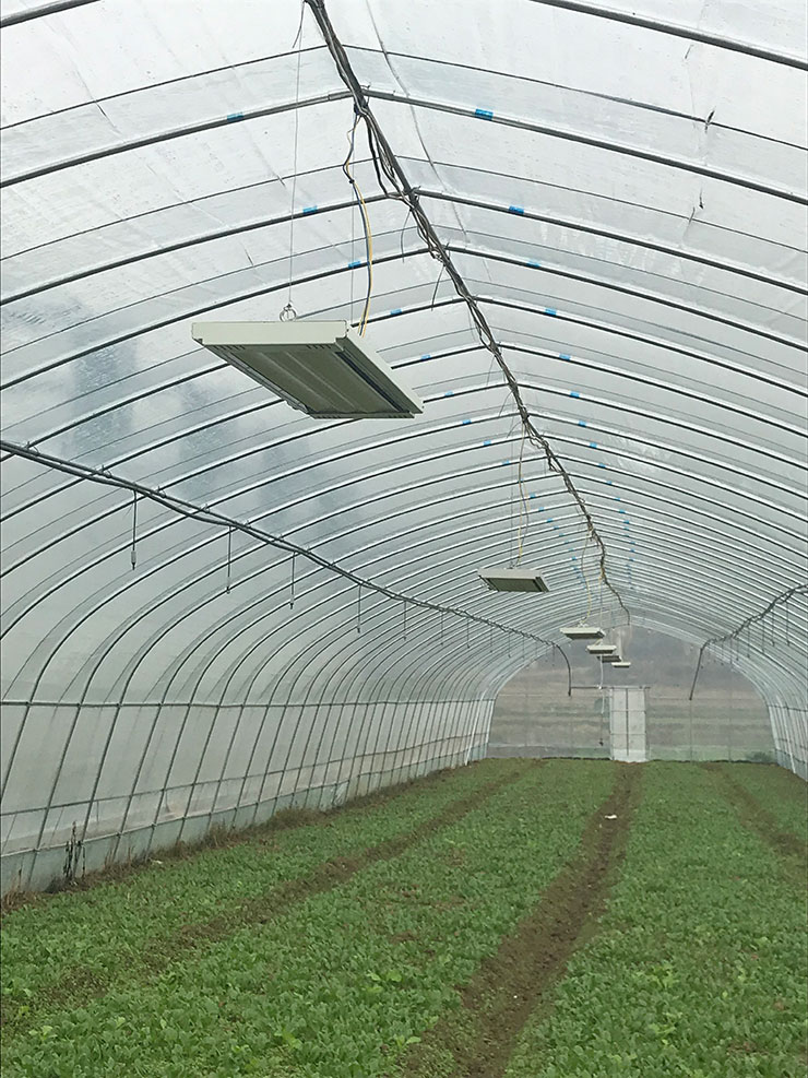 ���ι���|UB8���ι���|�������ý���