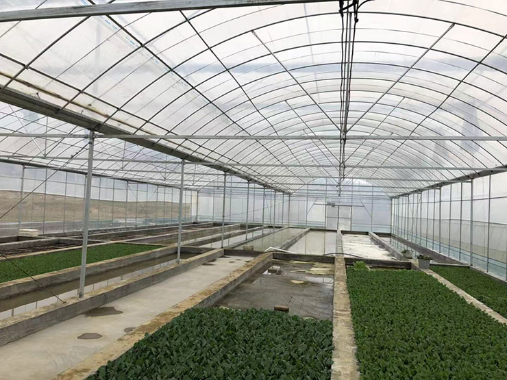 ���ι���|UB8���ι���|�������ý���