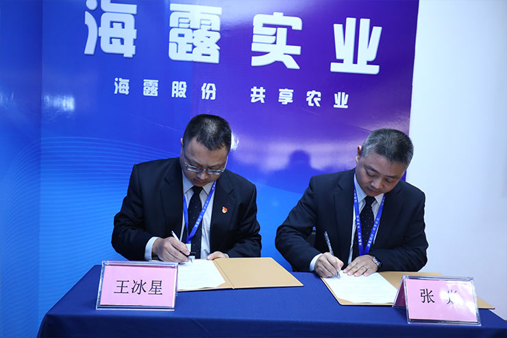 ���ι���|UB8���ι���|�������ý���