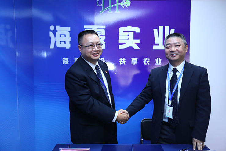 ���ι���|UB8���ι���|�������ý���