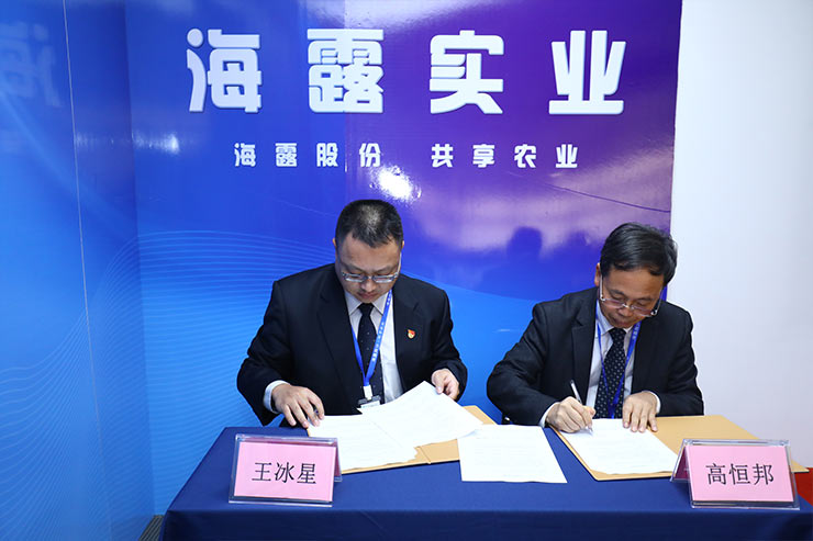 ���ι���|UB8���ι���|�������ý���