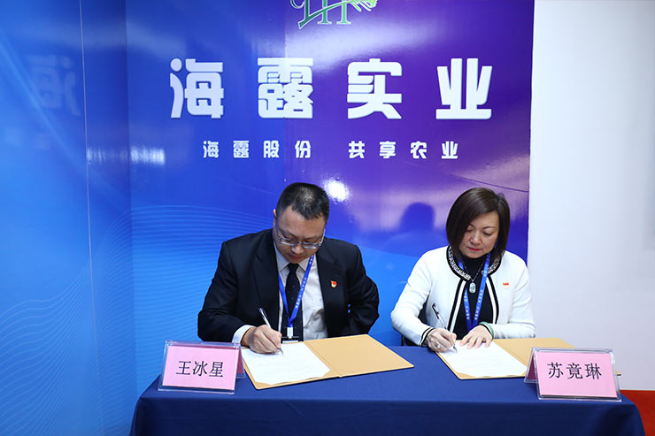 ���ι���|UB8���ι���|�������ý���