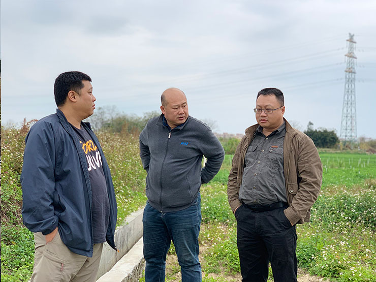 ���ι���|UB8���ι���|�������ý���