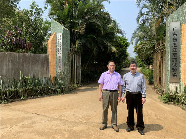 ���ι���|UB8���ι���|�������ý���