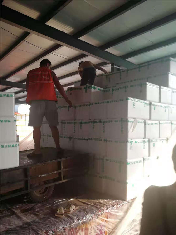 ���ι���|UB8���ι���|�������ý���