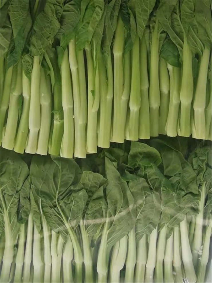 ���ι���|UB8���ι���|�������ý���