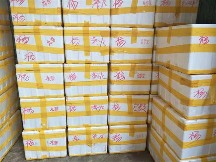 ���ι���|UB8���ι���|�������ý���