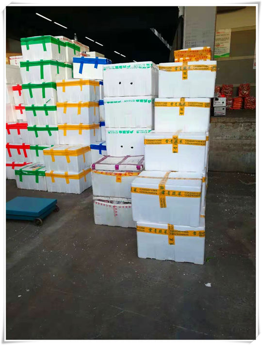 ���ι���|UB8���ι���|�������ý���