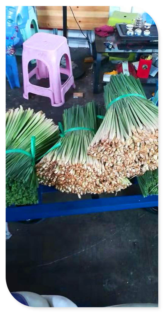 ���ι���|UB8���ι���|�������ý���