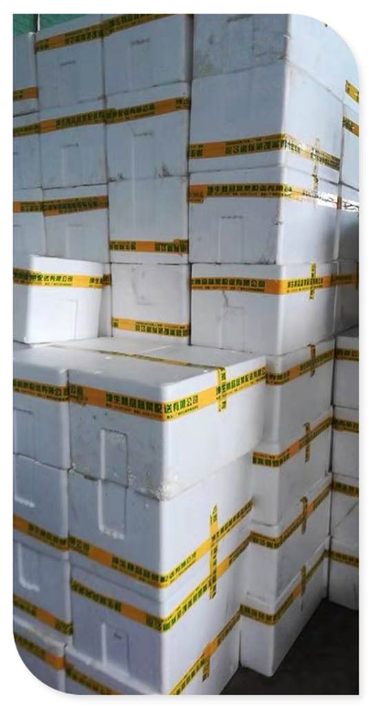 ���ι���|UB8���ι���|�������ý���