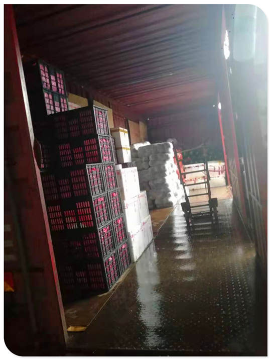 ���ι���|UB8���ι���|�������ý���