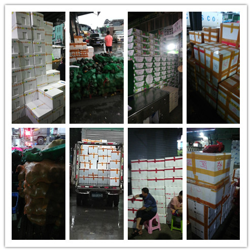 ���ι���|UB8���ι���|�������ý���