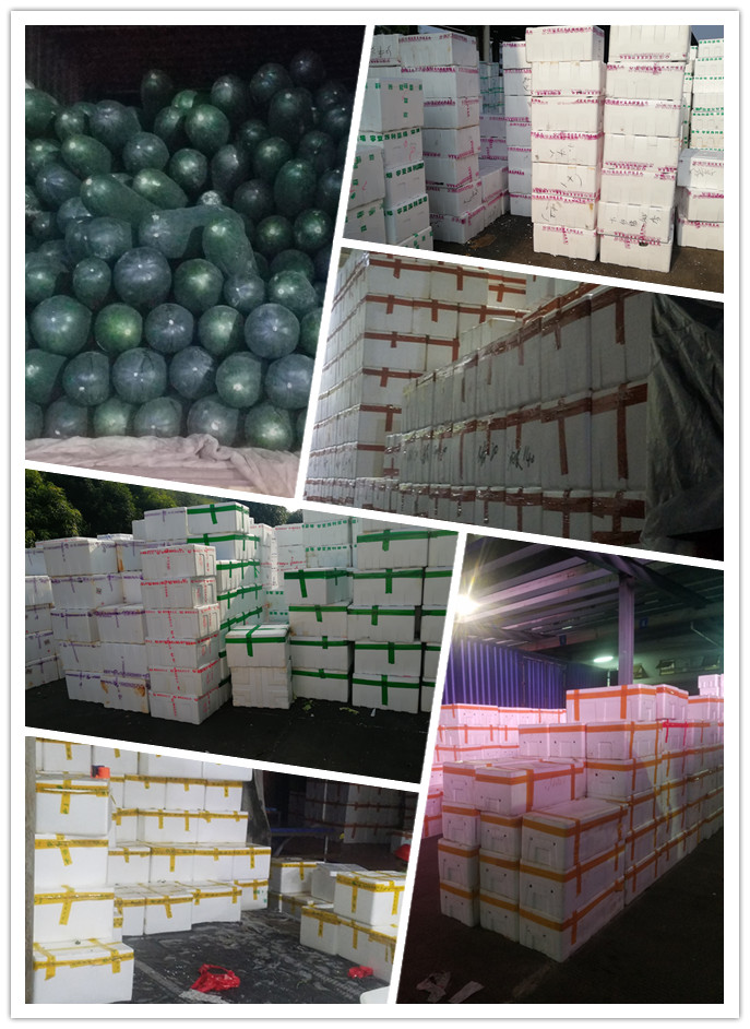 ���ι���|UB8���ι���|�������ý���