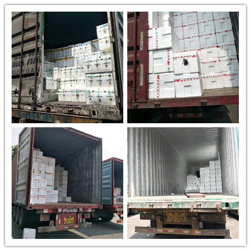 ���ι���|UB8���ι���|�������ý���