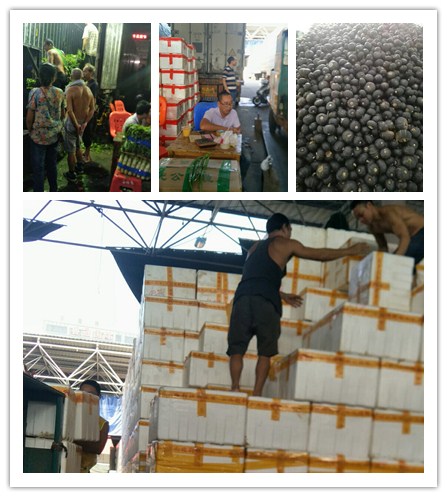 ���ι���|UB8���ι���|�������ý���