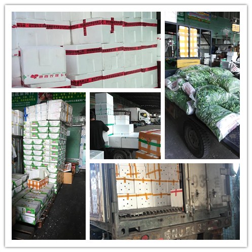 ���ι���|UB8���ι���|�������ý���