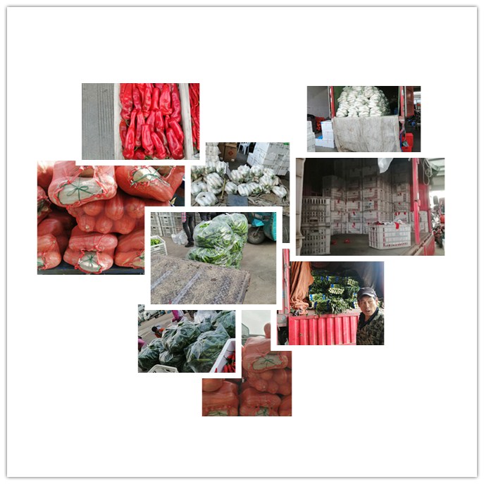 ���ι���|UB8���ι���|�������ý���