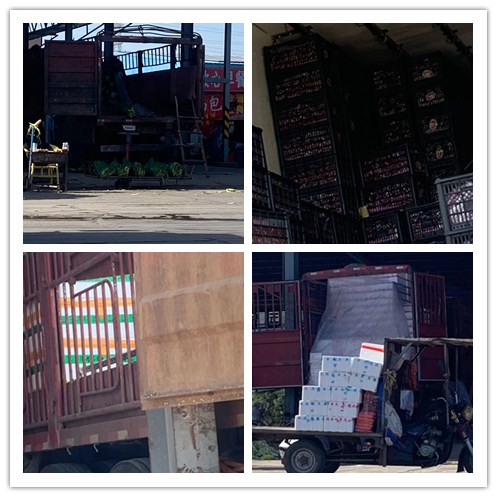 ���ι���|UB8���ι���|�������ý���