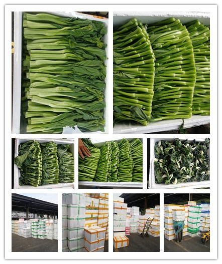 ���ι���|UB8���ι���|�������ý���