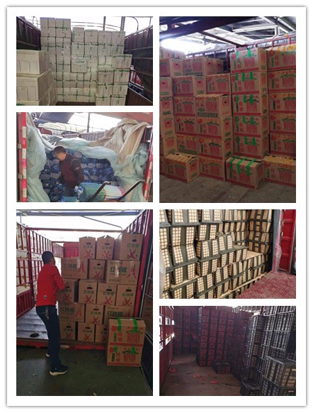 ���ι���|UB8���ι���|�������ý���