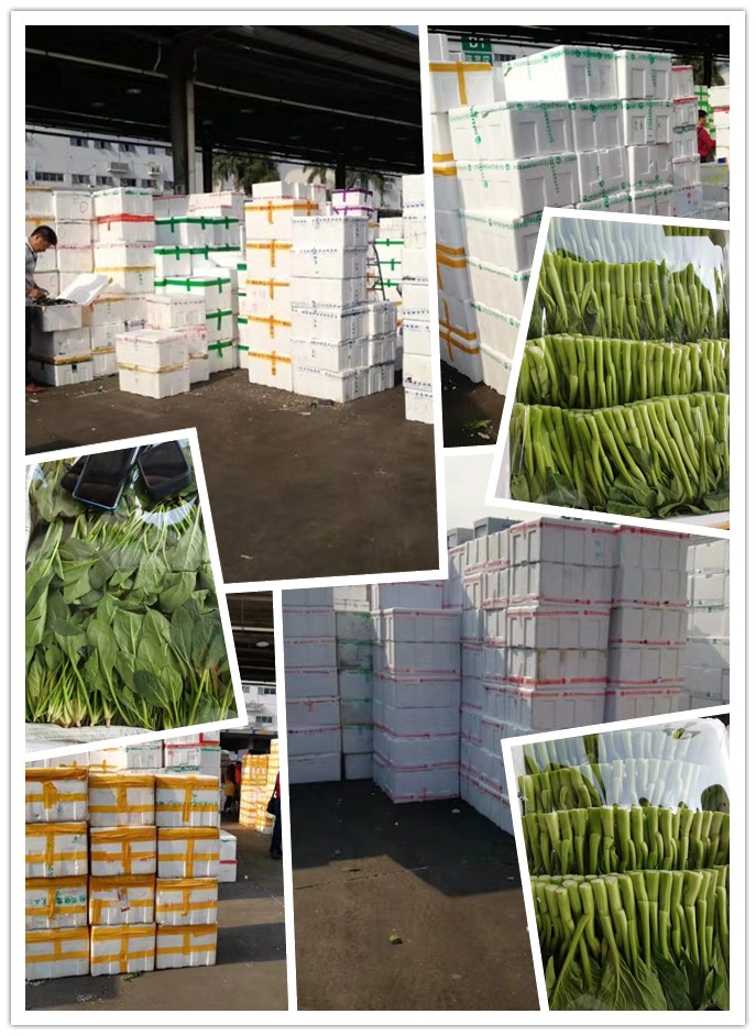 ���ι���|UB8���ι���|�������ý���