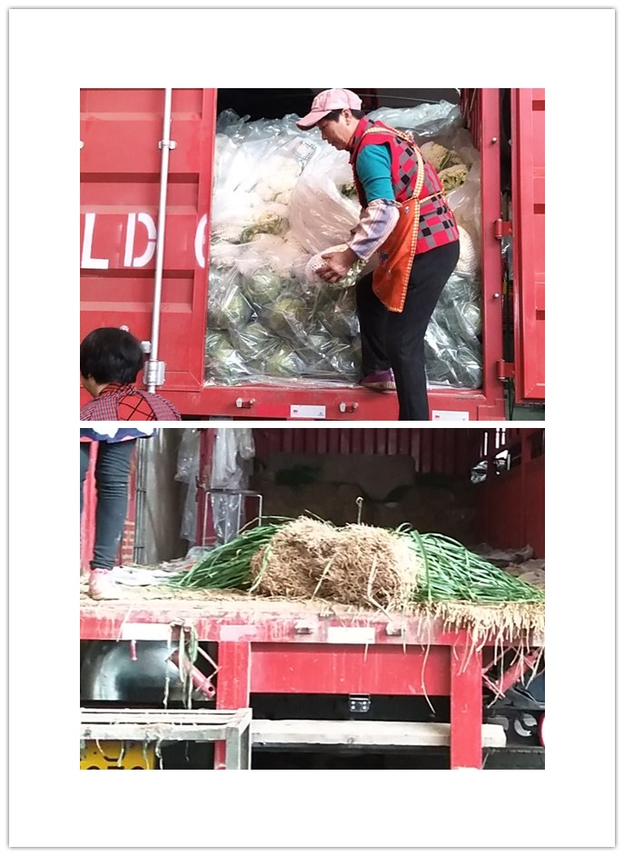 ���ι���|UB8���ι���|�������ý���