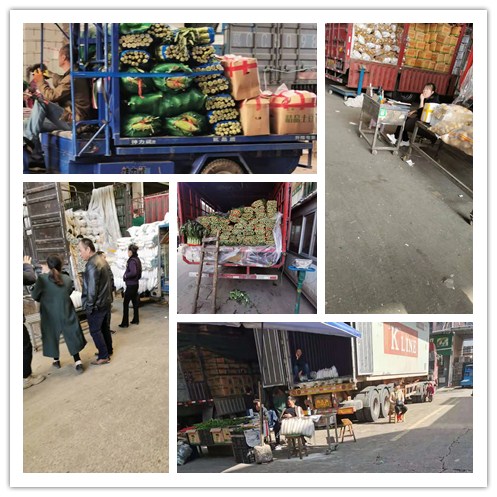 ���ι���|UB8���ι���|�������ý���