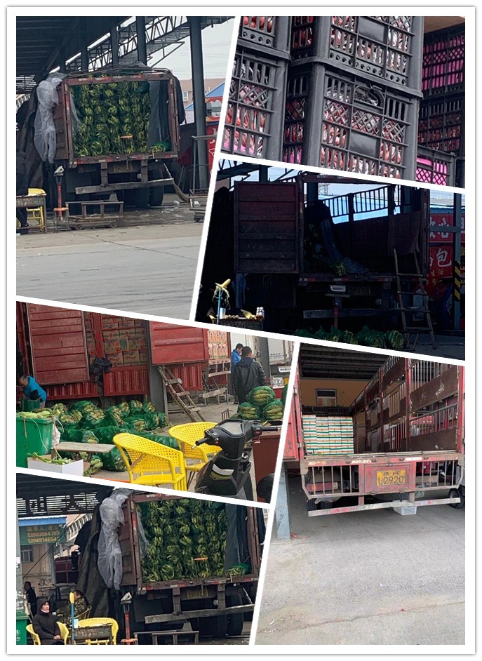 ���ι���|UB8���ι���|�������ý���