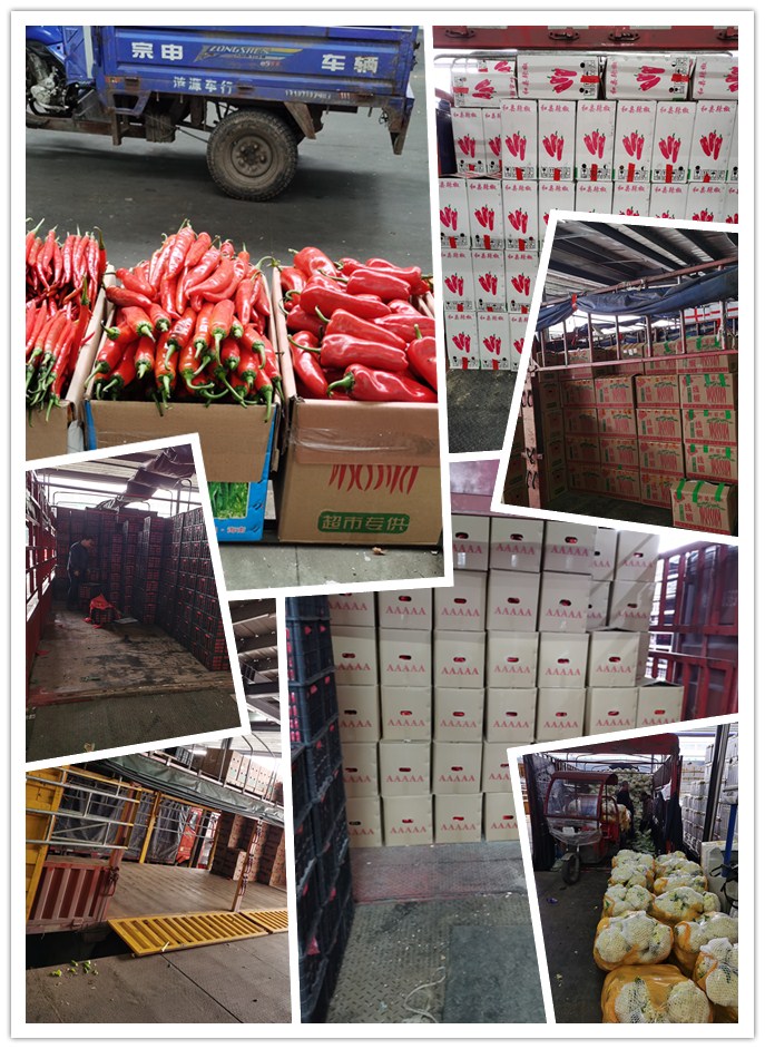 ���ι���|UB8���ι���|�������ý���