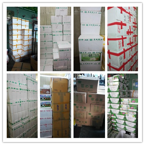 ���ι���|UB8���ι���|�������ý���