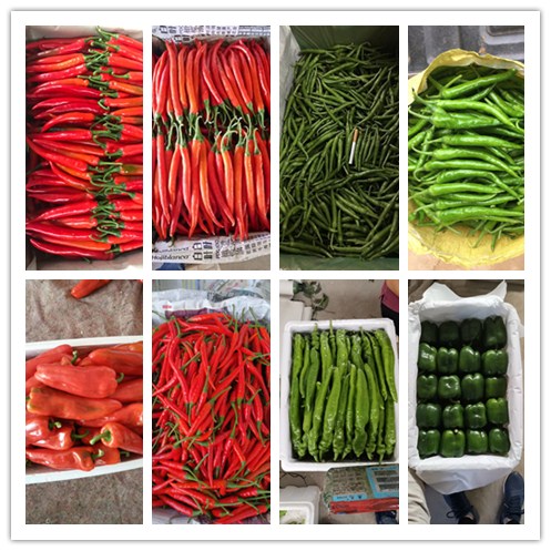 ���ι���|UB8���ι���|�������ý���