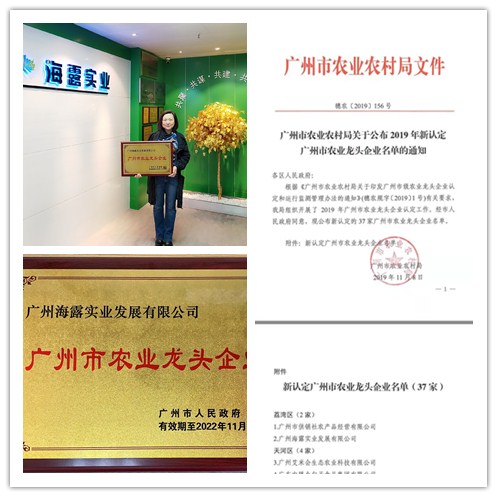 ���ι���|UB8���ι���|�������ý���