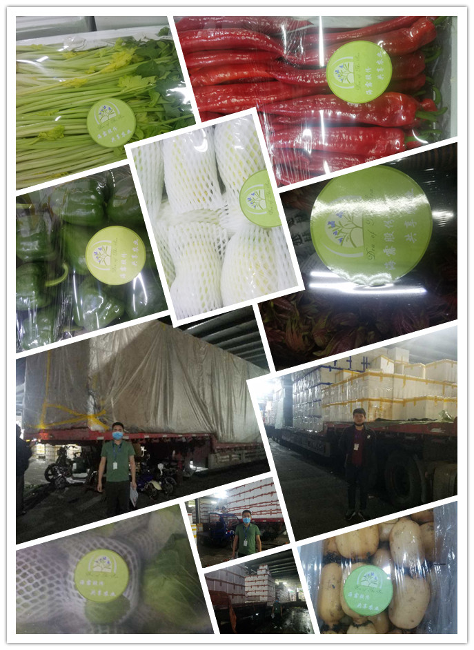 ���ι���|UB8���ι���|�������ý���