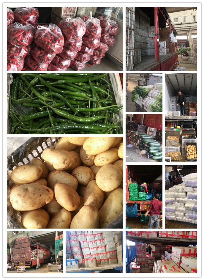 ���ι���|UB8���ι���|�������ý���