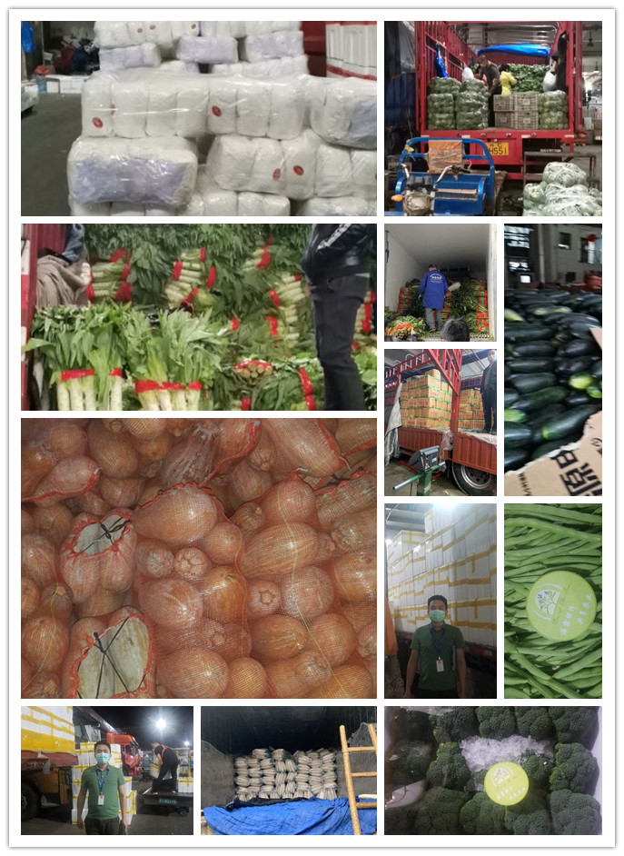 ���ι���|UB8���ι���|�������ý���