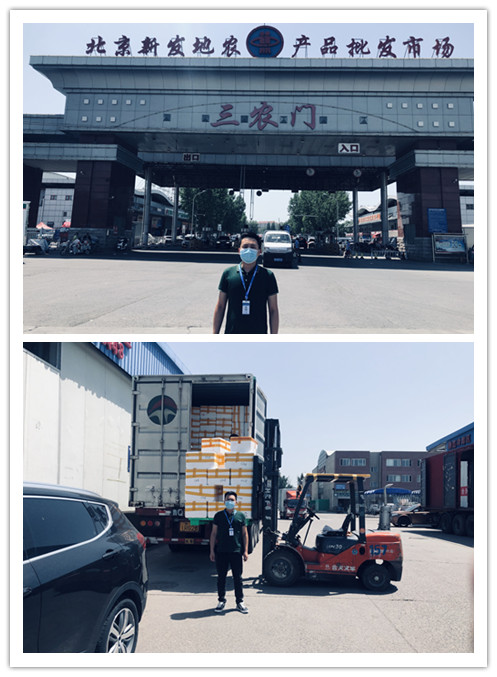 ���ι���|UB8���ι���|�������ý���