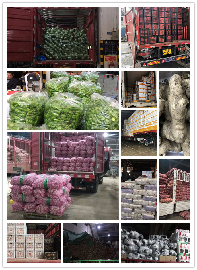 ���ι���|UB8���ι���|�������ý���