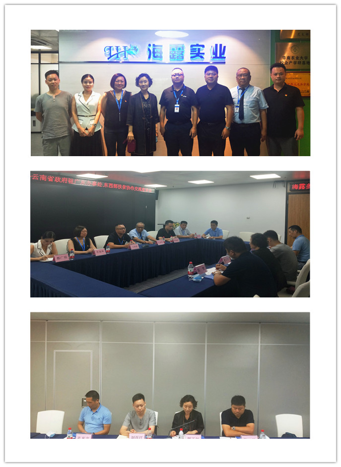 ���ι���|UB8���ι���|�������ý���