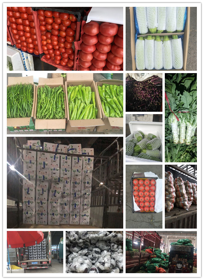 ���ι���|UB8���ι���|�������ý���