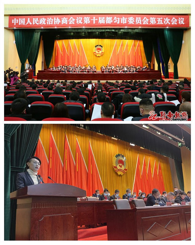 ���ι���|UB8���ι���|�������ý���