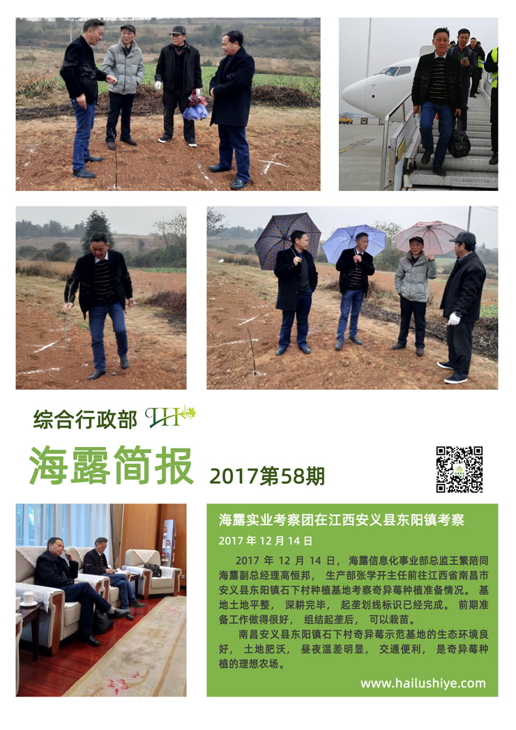 ���ι���|UB8���ι���|�������ý���