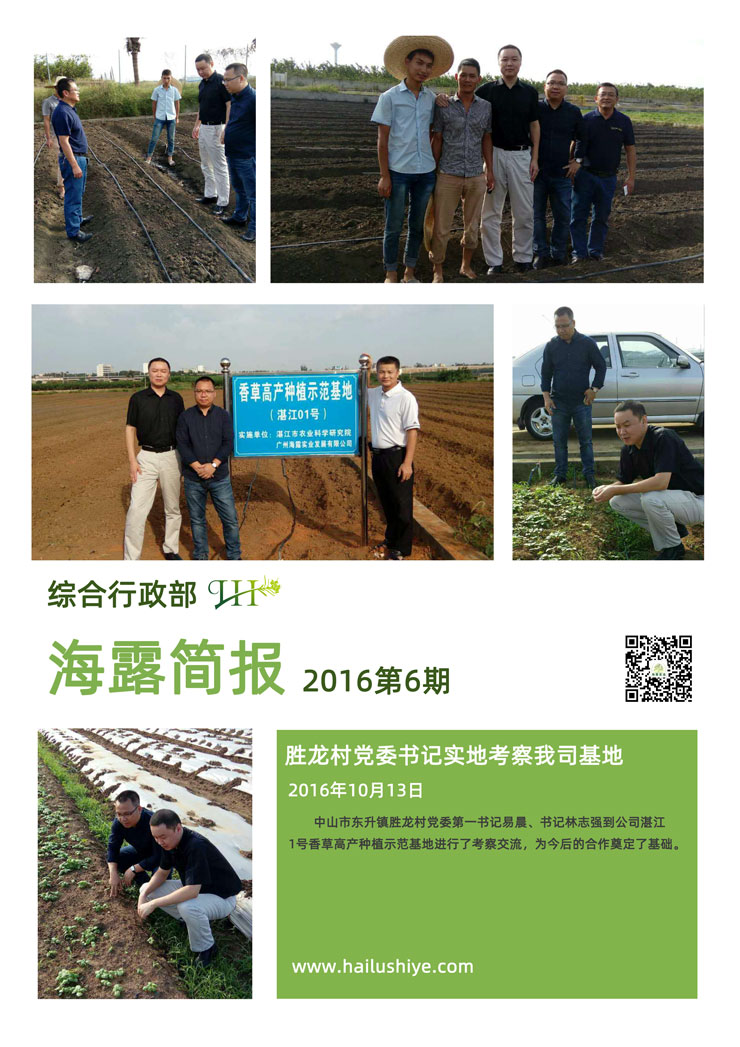 ���ι���|UB8���ι���|�������ý���