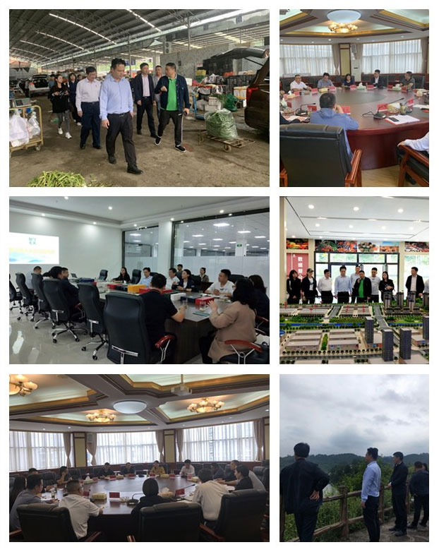 ���ι���|UB8���ι���|�������ý���