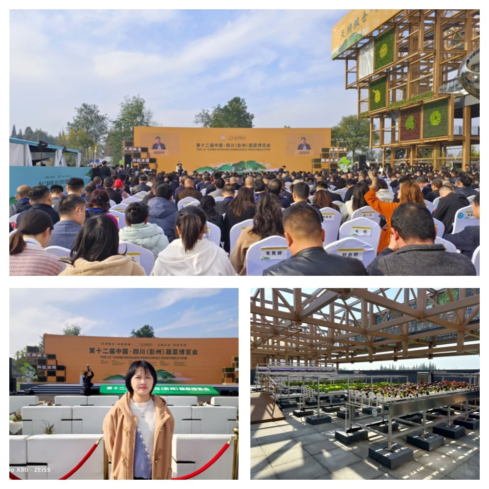 ���ι���|UB8���ι���|�������ý���