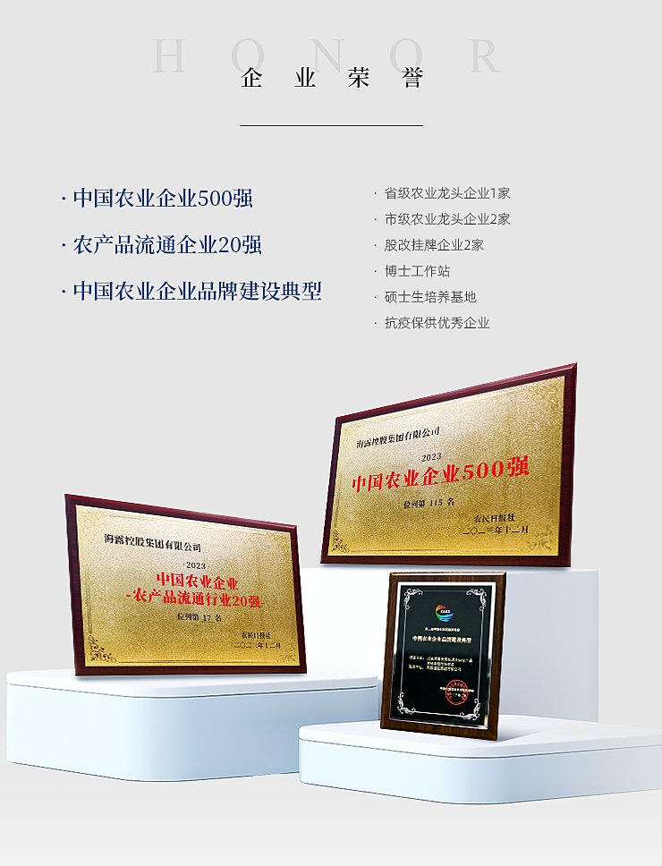 ���ι���|UB8���ι���|�������ý���